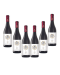 Garden Route Shiraz 2022 - 6 x 750ml Bottles