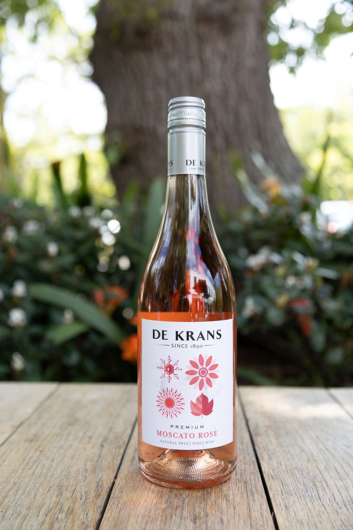 De Krans Premium Moscato Rosé Perlé 2025 - 6 x 750ml Bottles